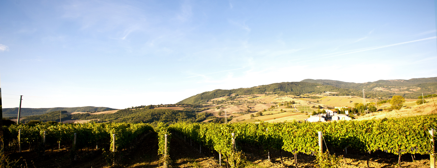 Azienda Agricola Cianfagna